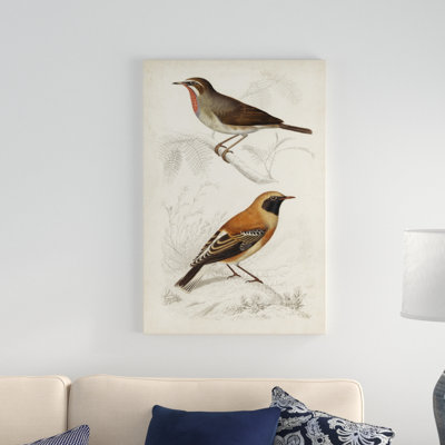 Peinture sur toile, D'orbigny Birds VI
