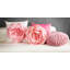 Housse de coussin décoratif décoratif à motif floral rose Simulation-1371545841-1460310684