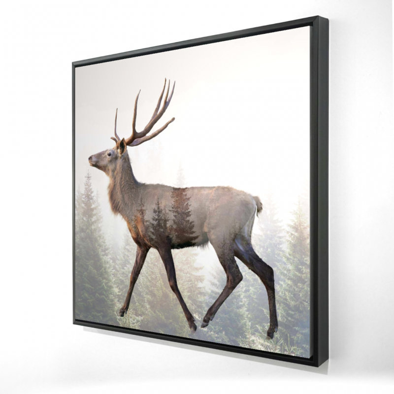 " Large Plume Roe Deer "
