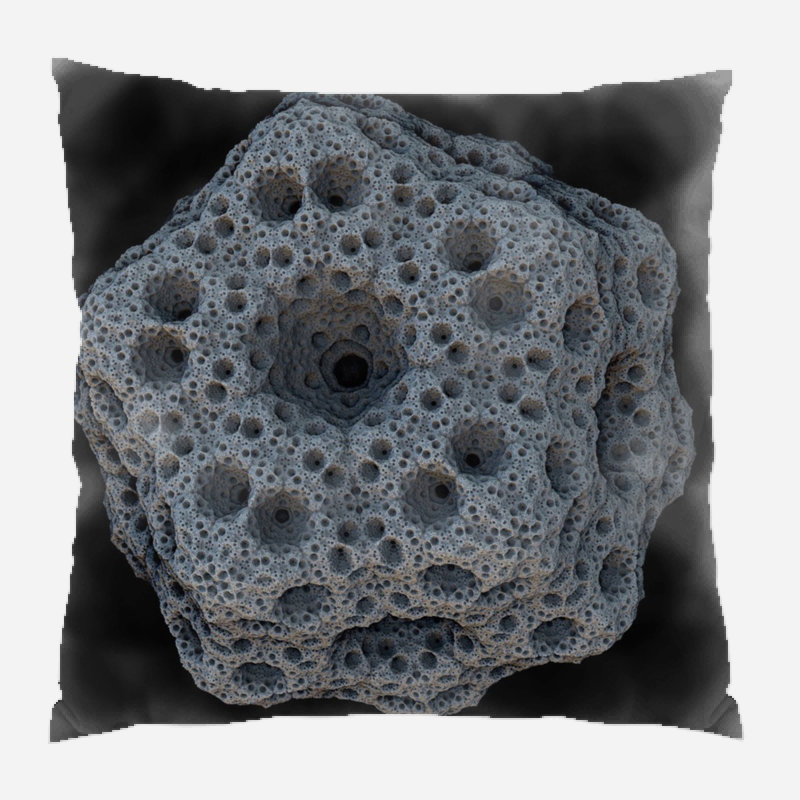 Coussin décoratif éponge