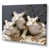 Wrapped Canvas