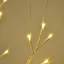 Lighted Trees & Branches