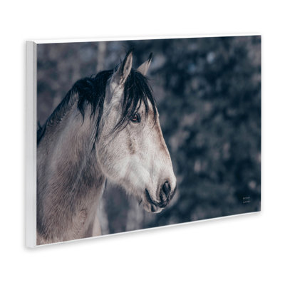 «Intense Gaze Stallion», art mural par Nathan Larson