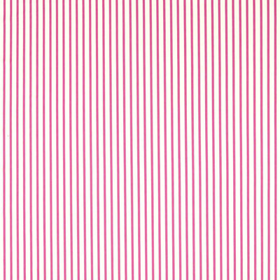 Ribbon Stripe Fabric