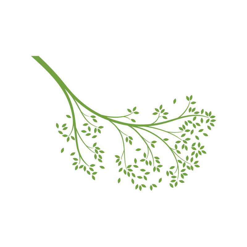Décalcomanie murale branche atteindre, Vert lime