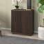 2 - Door Standard Accent Cabinet-1650907283