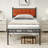 Nirvaan Vegan Leather Metal Platform Bed-519640681
