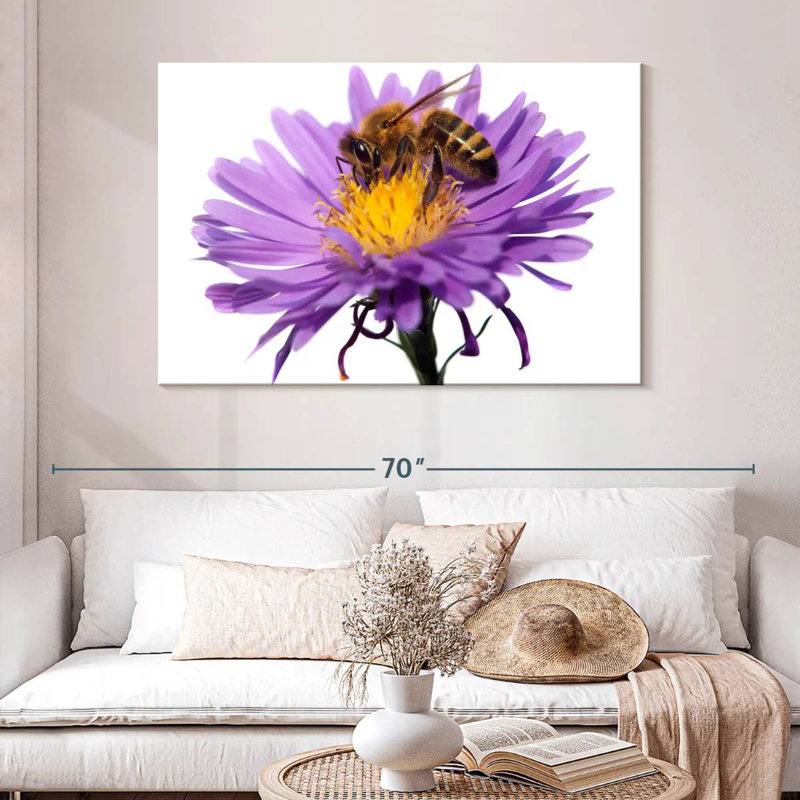 Brampt Honey Bee Sucking Nectar