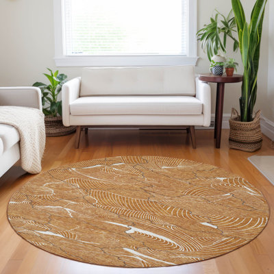  Machine Washable Indoor/Outdoor Chayden ACN1048 Rug