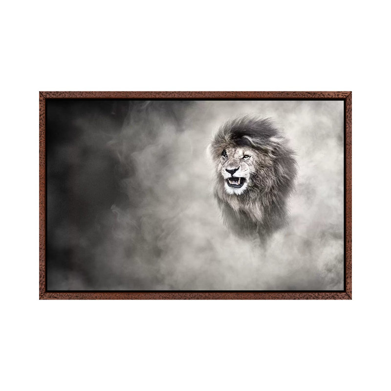 Vulnerable African Lion In The Dust by Susan Schmitz - Print on Canvas, Classic Brown Wood Floater Framed