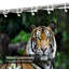 Rideau de douche avec 12 crochets Tiger Forest-1145427853