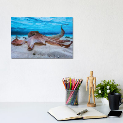 Octopus 1 Piece Wall Art on Canvas