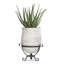 Mediterranean Fibreglass Planter-27790014