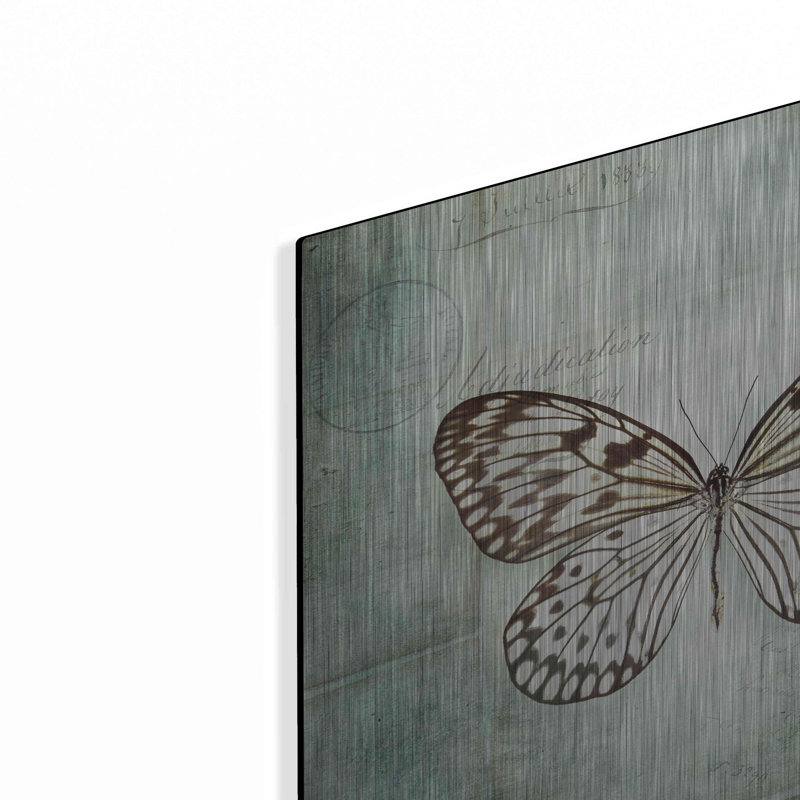 «French Butterfly V» par Debra Van Swearingen, H 12 po x l 12 po