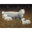 Mouton et agneaux, toile, animaux de ferme-120128202