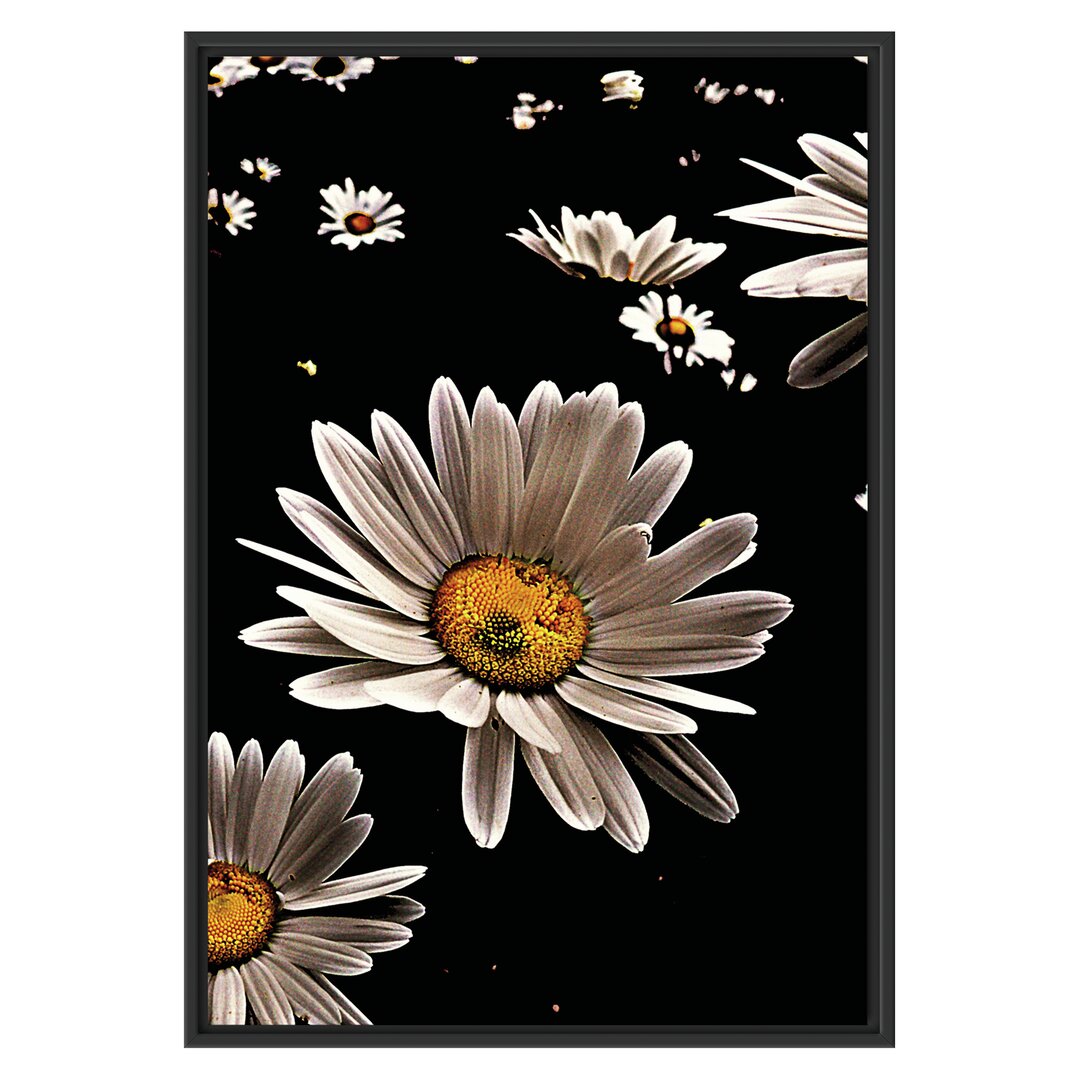 Gerahmtes Wandbild Dark Margeriten Blüten