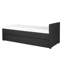 Shannen Upholstered Daybed with Trundle-124206644