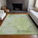 Machine Washable Indoor/Outdoor Claudian ACN1635 Aloe Rug