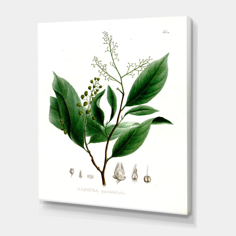Plante brésilienne rétro II - peinture sur toile, H 32 po x l 24 po x P 1 po, Toile tendue