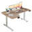 L-Shaped 59 Inch Height Adjustable Electric Standing Desk, Ergonomic and Spacious for Home Office Use-1061839760