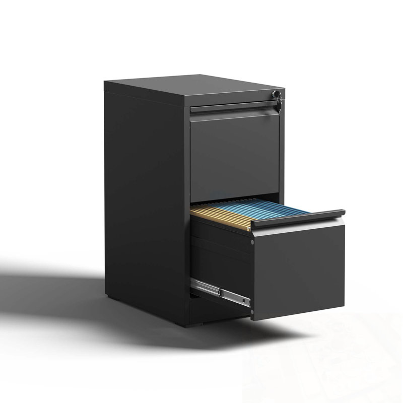 Metal Vertical File Cabinet with Lock and 2 Drawers, Black