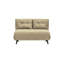 Varujhan 2 Seater Sofa Bed-1464465514-1464465506-1407565412