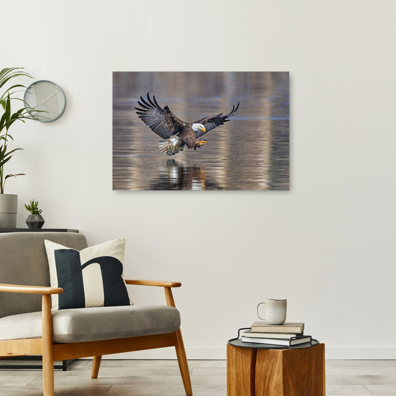 Regal Eagle Hunt Contemporary Bird Eagle Fish Nature Wildlife Wall Art Print by Jim Luo - Wrapped Canvas Print