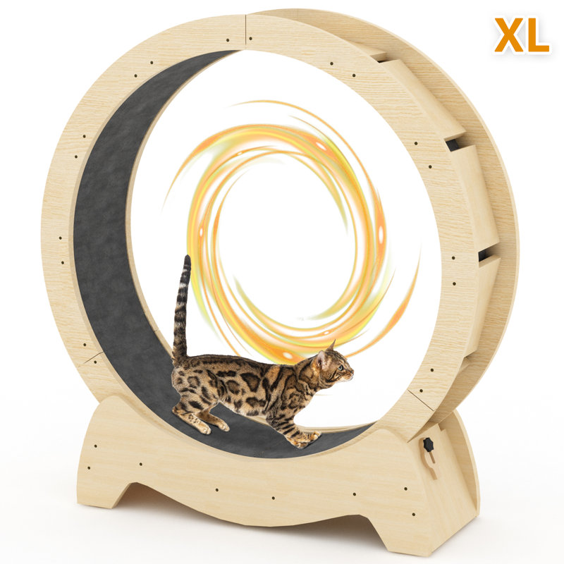 Roue d'exercice pour chats Conine, H 43,89 po x l 39,37 po x P 14,17 po