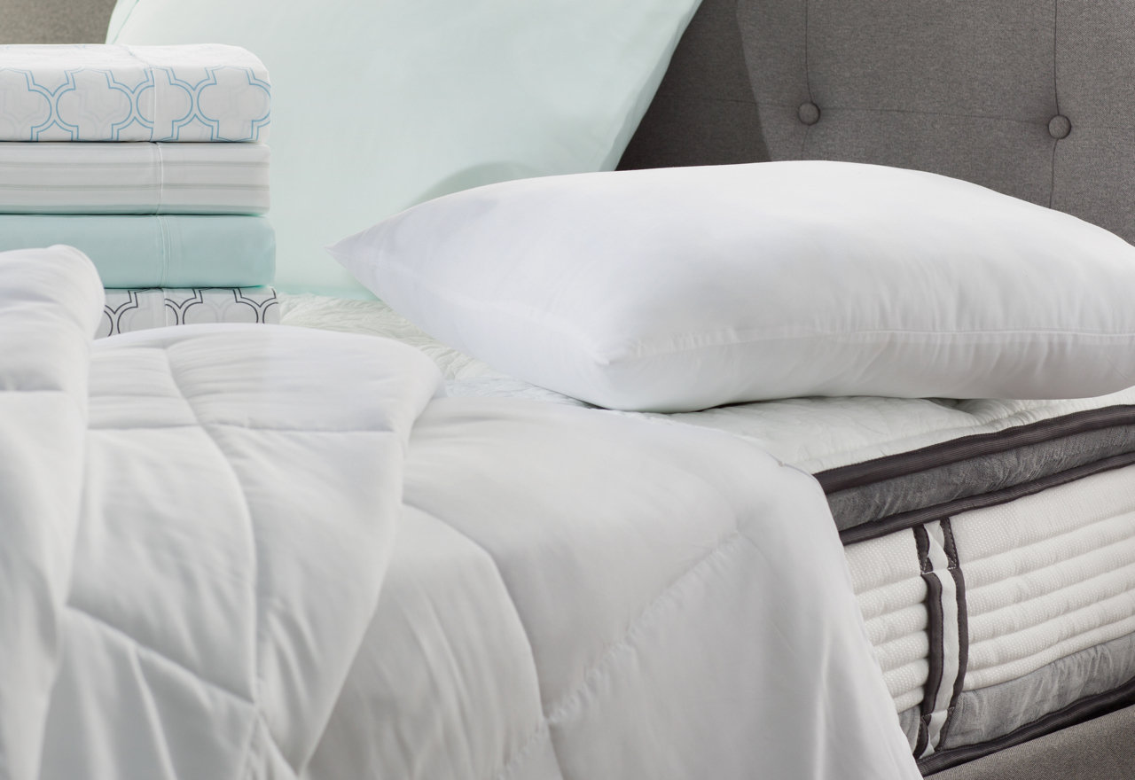 TopRated Bedding Basics 2024 Wayfair