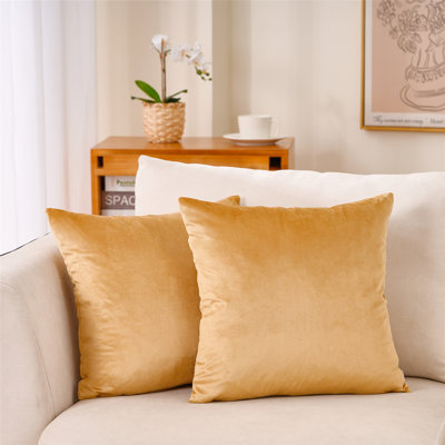 Housse de coussin en velours