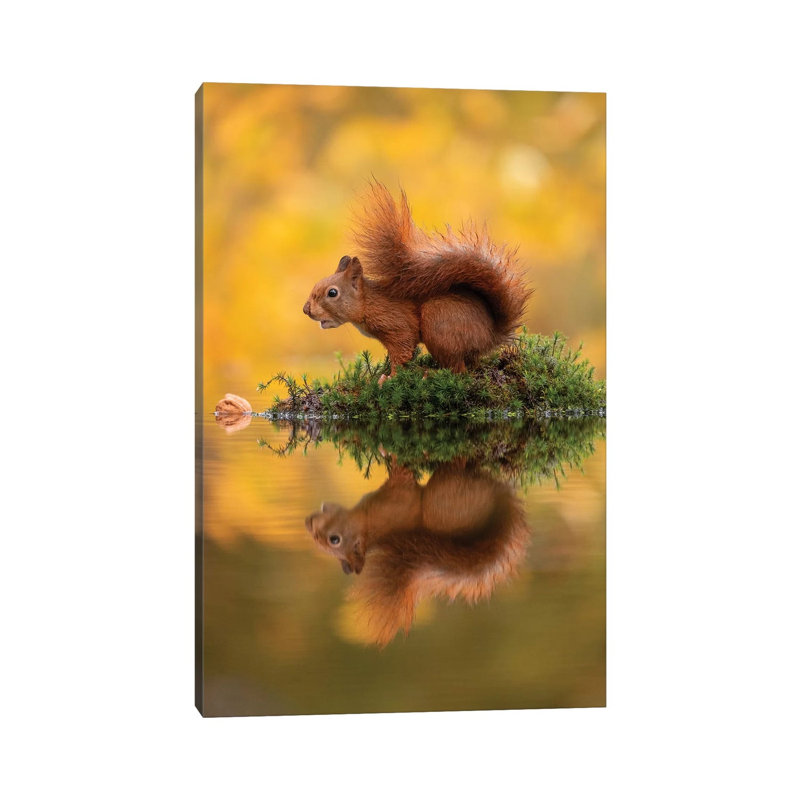 Red Squirrel on an Island 1 Piece Wrapped Canvas Wall Art, 66.04 cm H x 45.72 cm W x 3.175 cm D