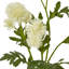 Arrangement-111171157