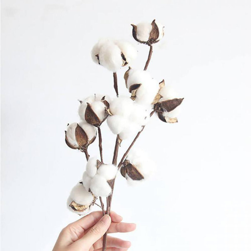 Fleurs de tige en coton blanc naturel de 21 pouces, branches de coton de style campagnard rustique, 10 branches de coton naturel et fleurs séchées