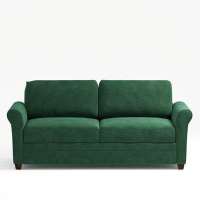Demetrius 79'' Upholstered Sleeper Sofa