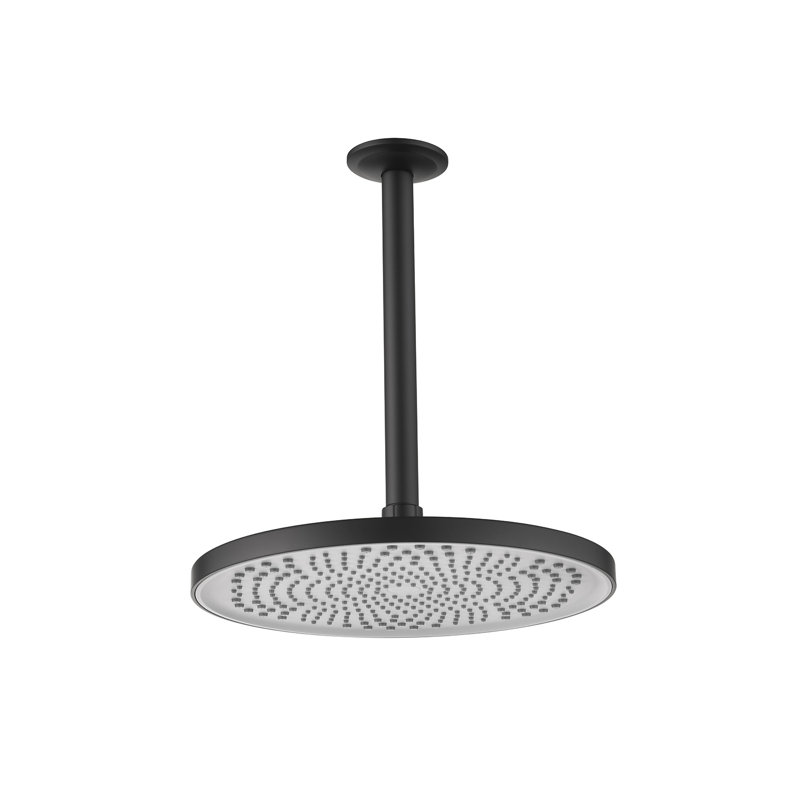 Pomme de douche pluie 2 GPM GPM, Noir mat