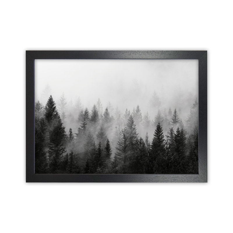Forest - Print, 46cm H x 34cm W x 3cm D, Black Framed
