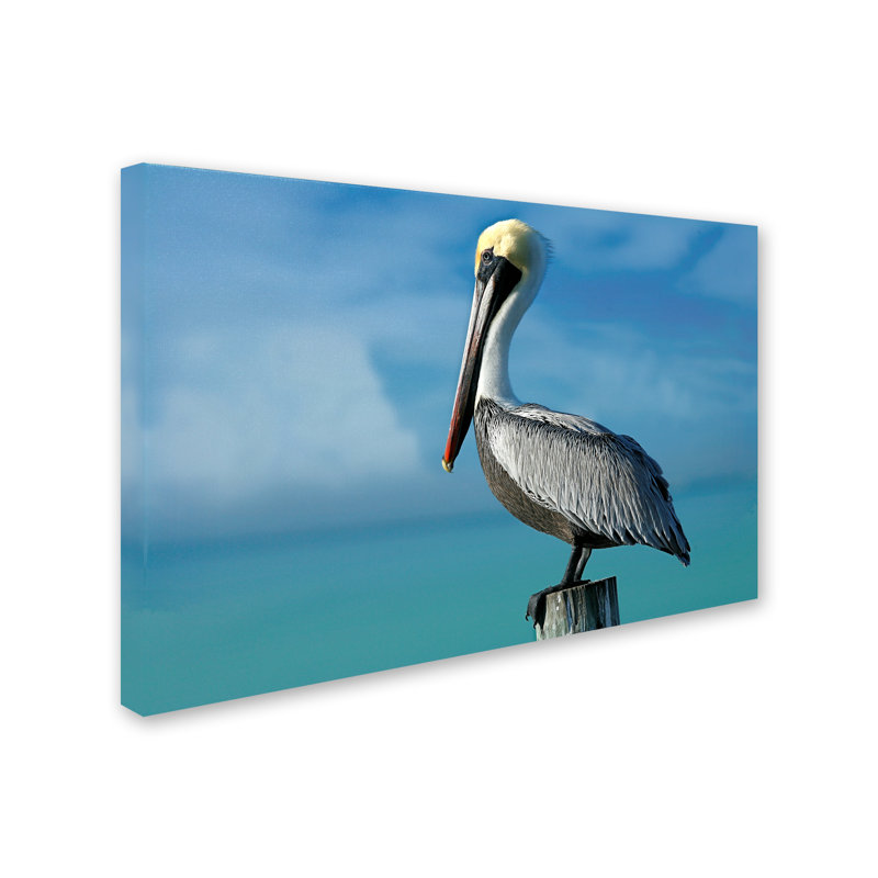 «Pelican» par Alexan, reproduction de photo sur toile tendue, 16 po x 24 po