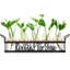 Les stations de propagation de plantes, pour les amateurs de plantes qui ramassent pour vous des pots de vases de boutures hydroponiques