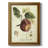 " Printed Tuscan Fruits I "-970235169
