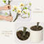 Arbre de magnolia artificiel 4/5/6 pi - Faux plantes réalistes avec pot blanc pour décoration intérieure et extérieure-410274460