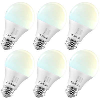 Ampoule DEL à intensité variable équivalente A19 E26 / moyenne (standard)