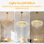 6 - Light Chandelier