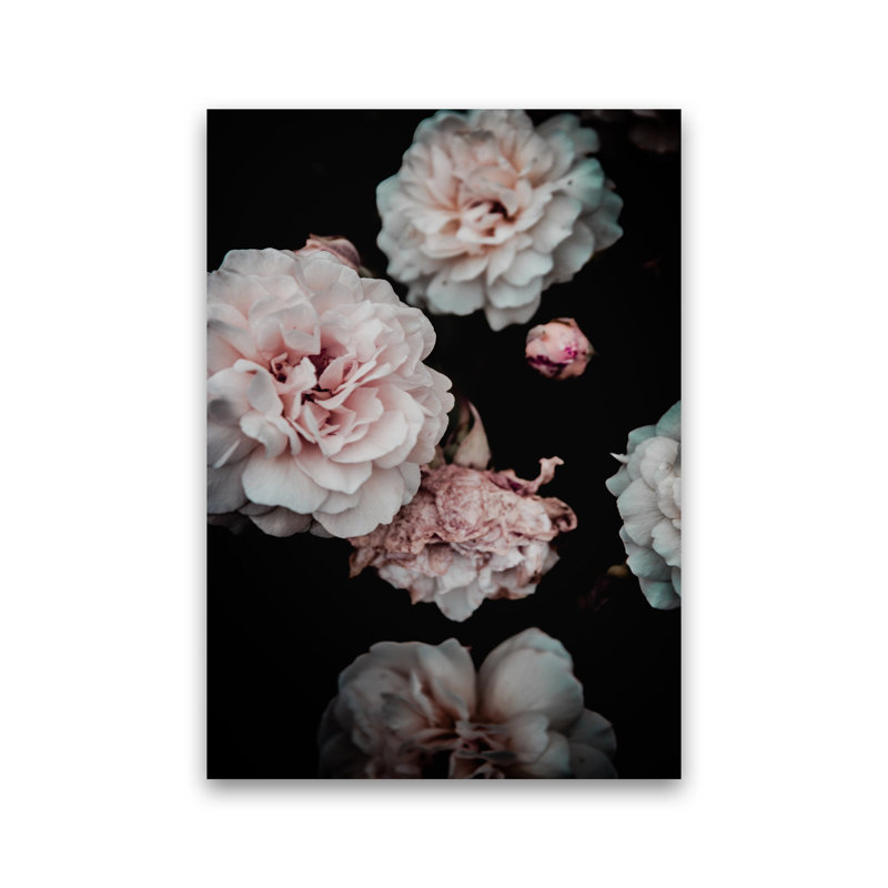 Crisp Pink by Victoria Frost - Print, Unframed, 59cm H x 42cm W x 1cm D