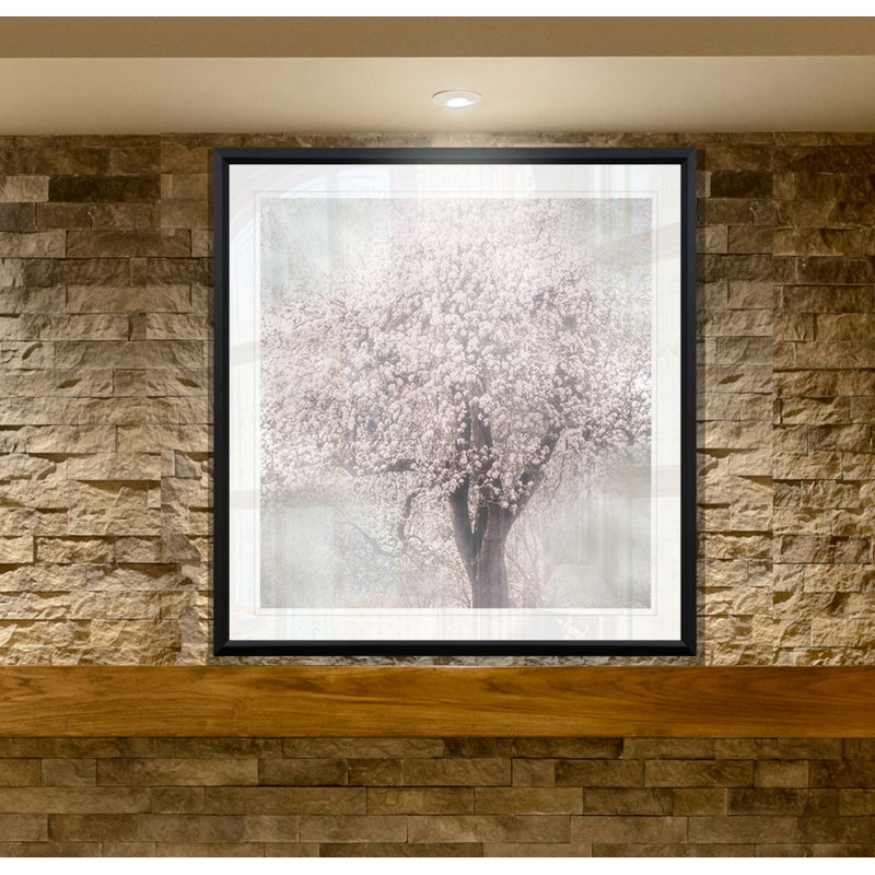 «Blossoms of Spring III», impression, H 17,5 po x l 17,5 po x P 1,5 po, Cadre plastique noir