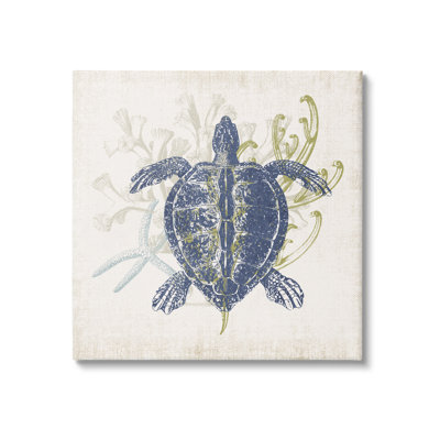 «Détaillé, tortue de mer, couche, corail, aquatique, vie», par Victoria Barnes, impression sur toile tendue
