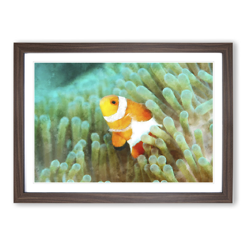 Clownfish Vol.1 - Picture Frame Graphic Art, Walnut Framed, 27cm H x 36cm W x 2cm D