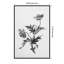 «Botanical No. 2» par Deborah Revell, reproduction d'art sur toile encadrée-1979130489
