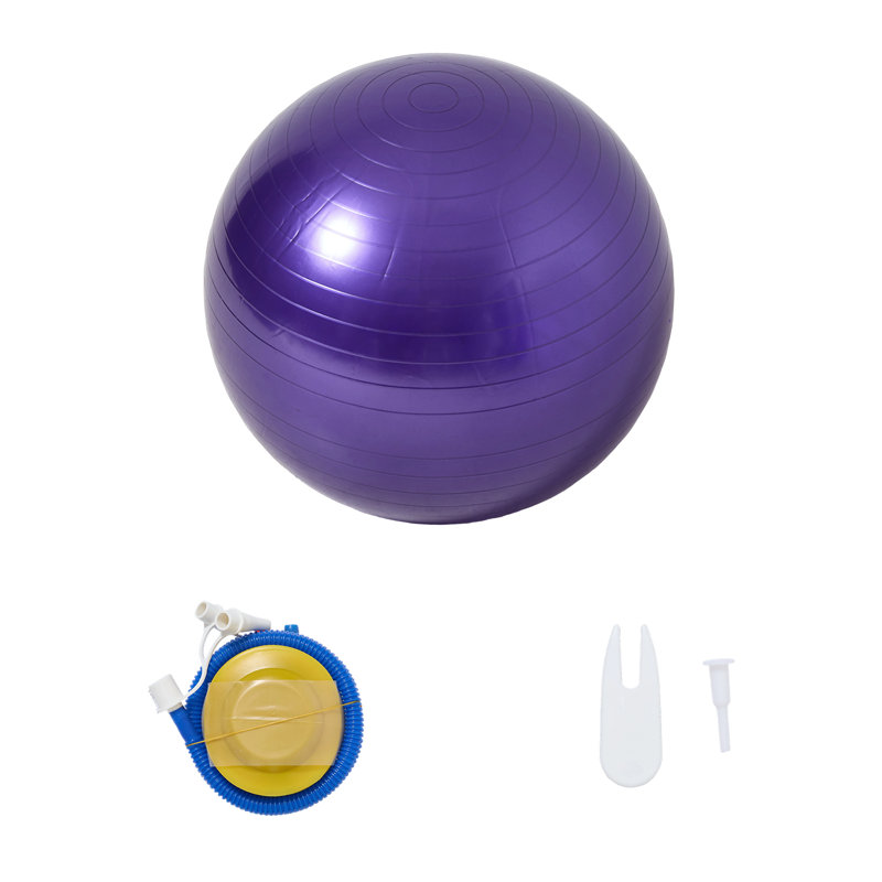 Anti-Burst Inflatable Exercise Ball, Pink