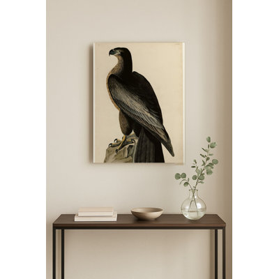 Oiseau de Washington (1827) — Portrait en métal