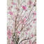 « spring fleurs 2 », reproduction d’impression sur toile-89404858
